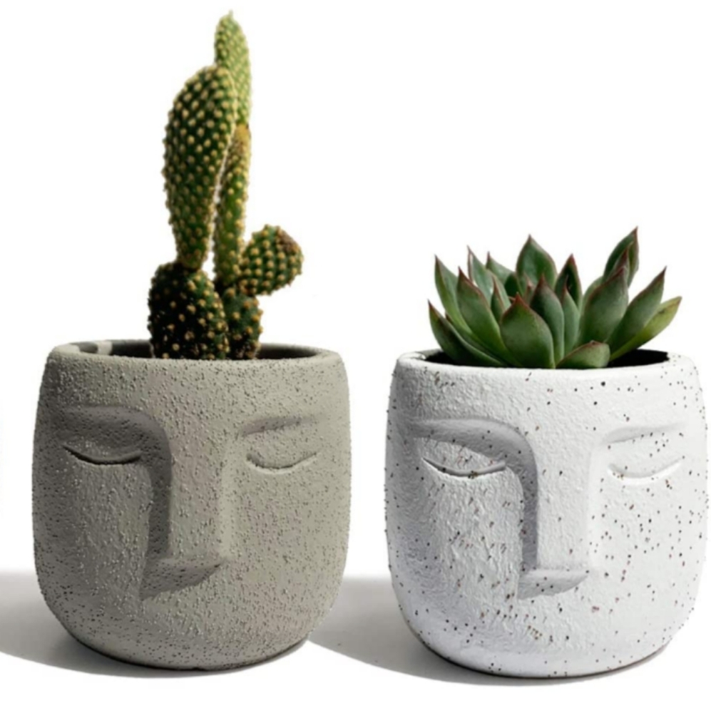Concrete succulent planter set of 2. One white and one gray planter.